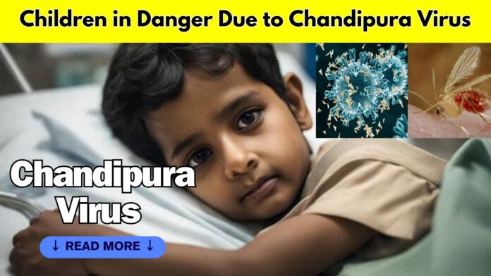 chandipur virus